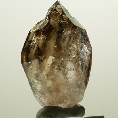 Enhydro Skelett Fenster Phantom Rauchquarz Zepter, 2x Blase Goboboseb, Namibia 56*31*27mm #14983