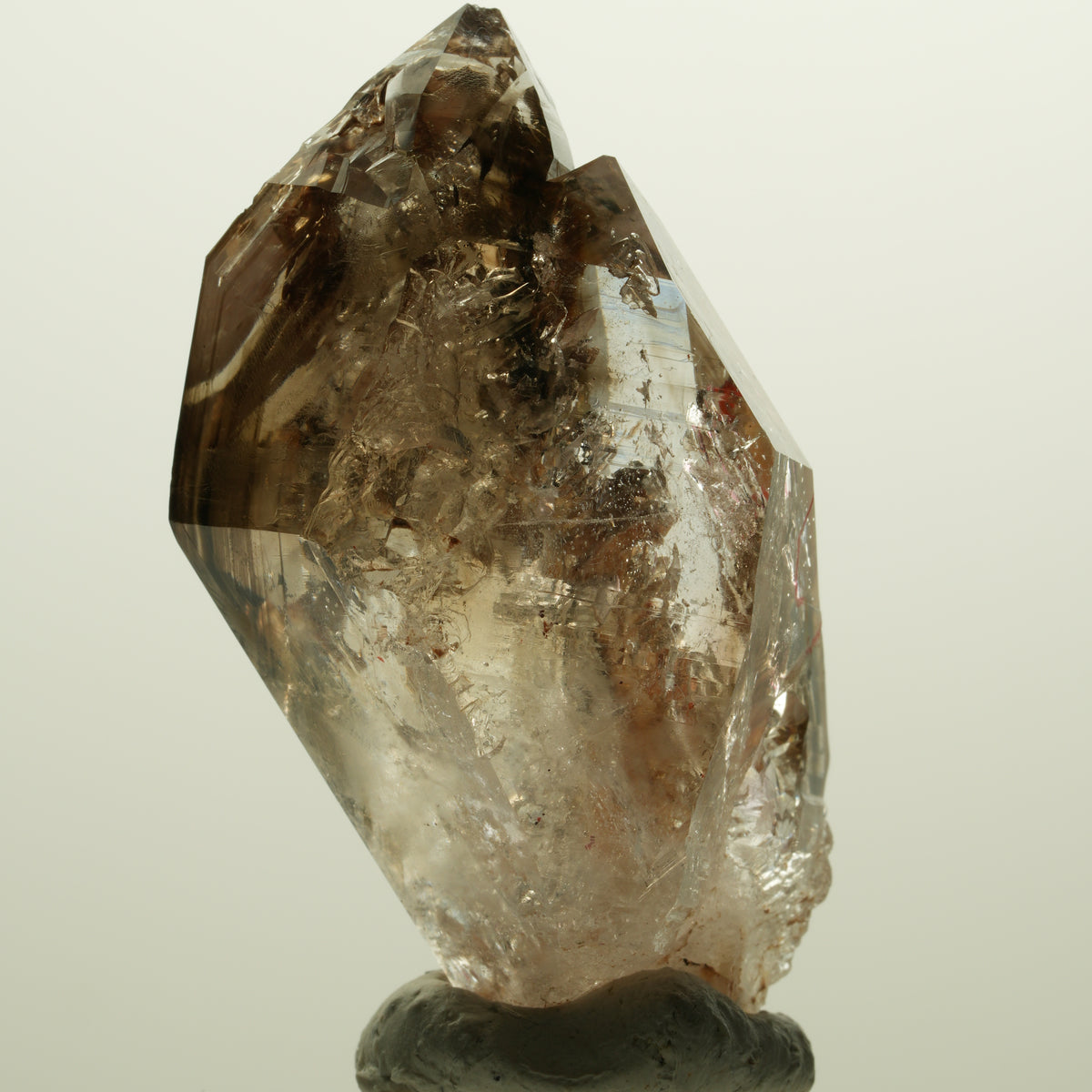 Enhydro Skelett Fenster Phantom Rauchquarz Zepter, 2x Blase Goboboseb, Namibia 56*31*27mm #14983