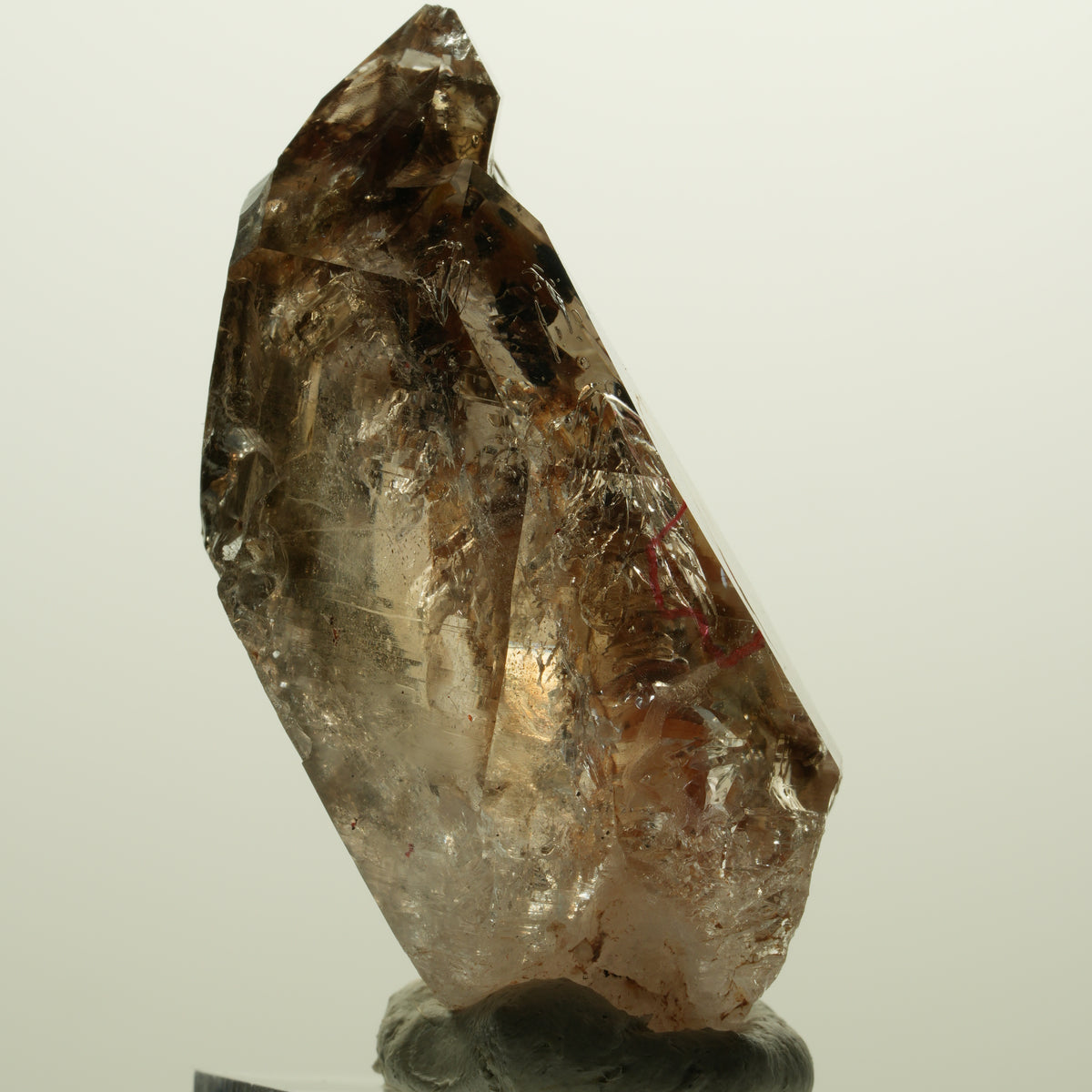 Enhydro Skelett Fenster Phantom Rauchquarz Zepter, 2x Blase Goboboseb, Namibia 56*31*27mm #14983
