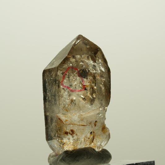 Enhydro Phantom Rauchquarz Skelett Doppelender, 2x Blase Goboboseb, Namibia 34*18*17mm #14987