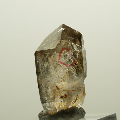 Enhydro Phantom Rauchquarz Skelett Doppelender, 2x Blase Goboboseb, Namibia 34*18*17mm #14987