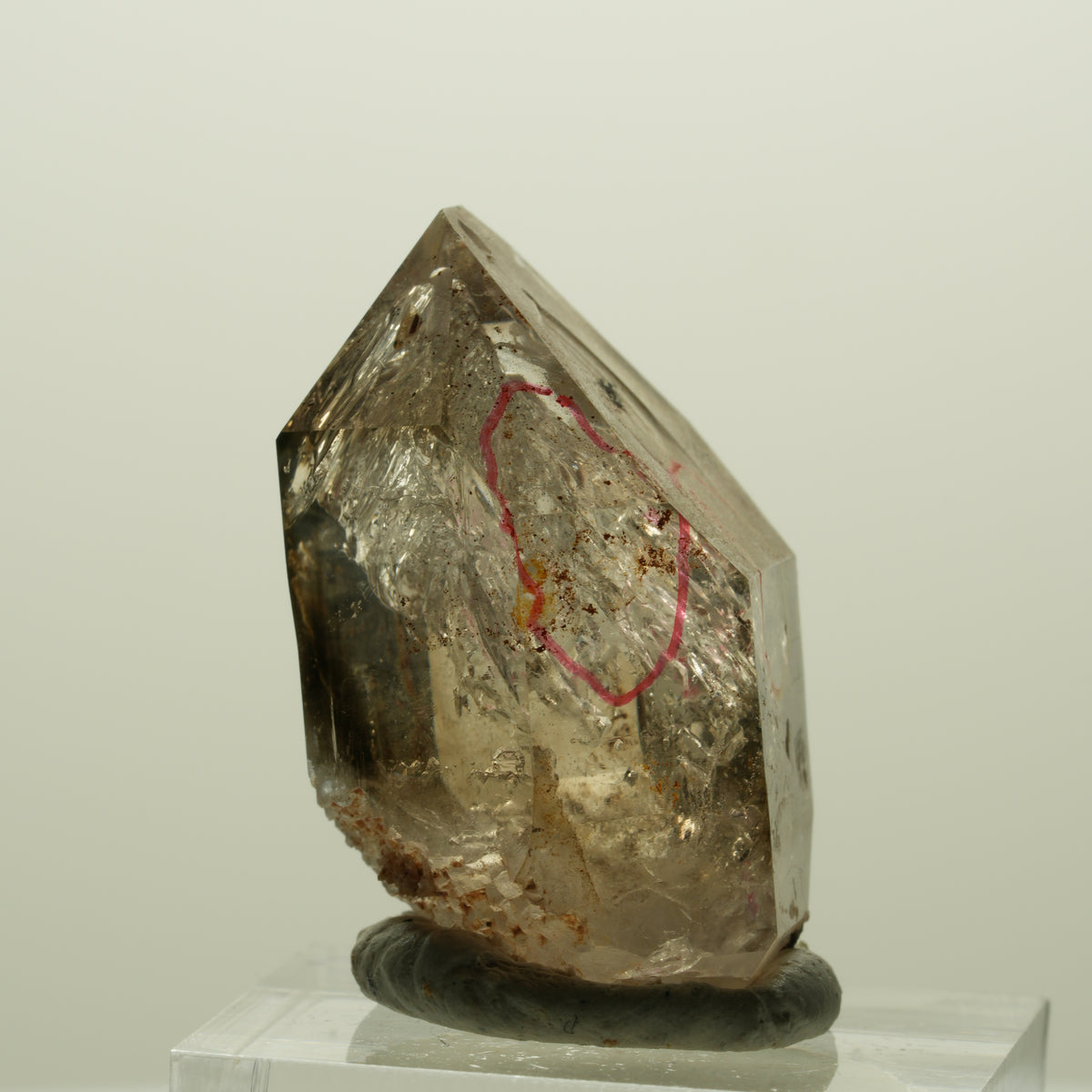 Enhydro Skelett Fenster Phantom Rauchquarz Zepter, 3x Blase Goboboseb, Namibia 32*23*18mm #14989
