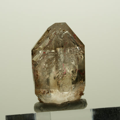 Enhydro Skelett Fenster Phantom Rauchquarz Zepter, 3x Blase Goboboseb, Namibia 32*23*18mm #14989