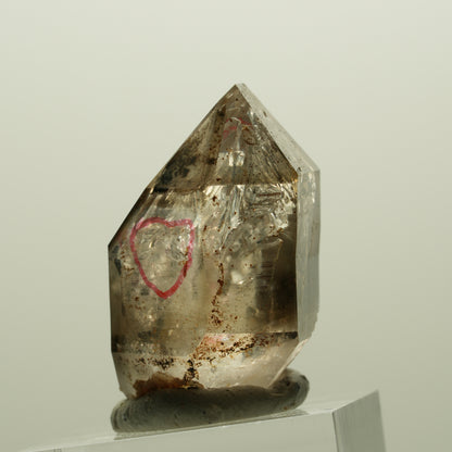 Enhydro Skelett Fenster Phantom Rauchquarz Zepter, 3x Blase Goboboseb, Namibia 32*23*18mm #14989