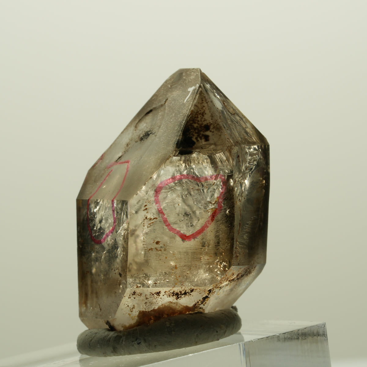 Enhydro Skelett Fenster Phantom Rauchquarz Zepter, 3x Blase Goboboseb, Namibia 32*23*18mm #14989