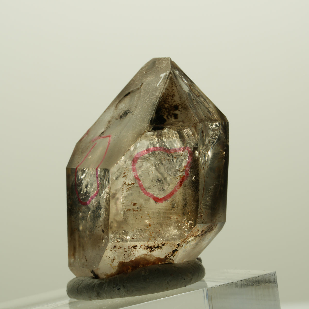 Enhydro Skelett Fenster Phantom Rauchquarz Zepter, 3x Blase Goboboseb, Namibia 32*23*18mm #14989