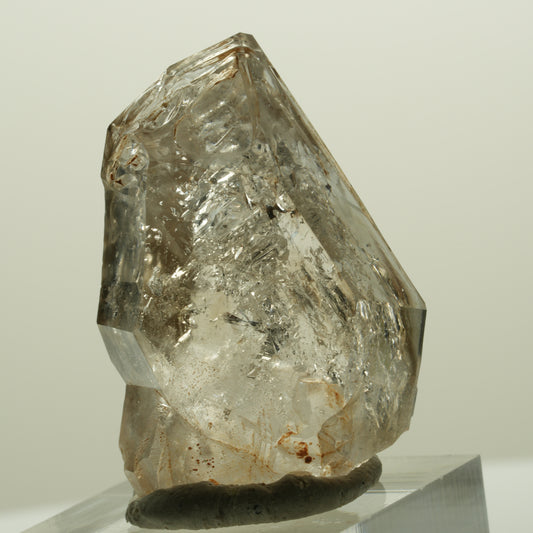 Skelett Fenster Phantom Rauchquarz Zepter Spitze Goboboseb, Namibia 36*24*19mm #14990
