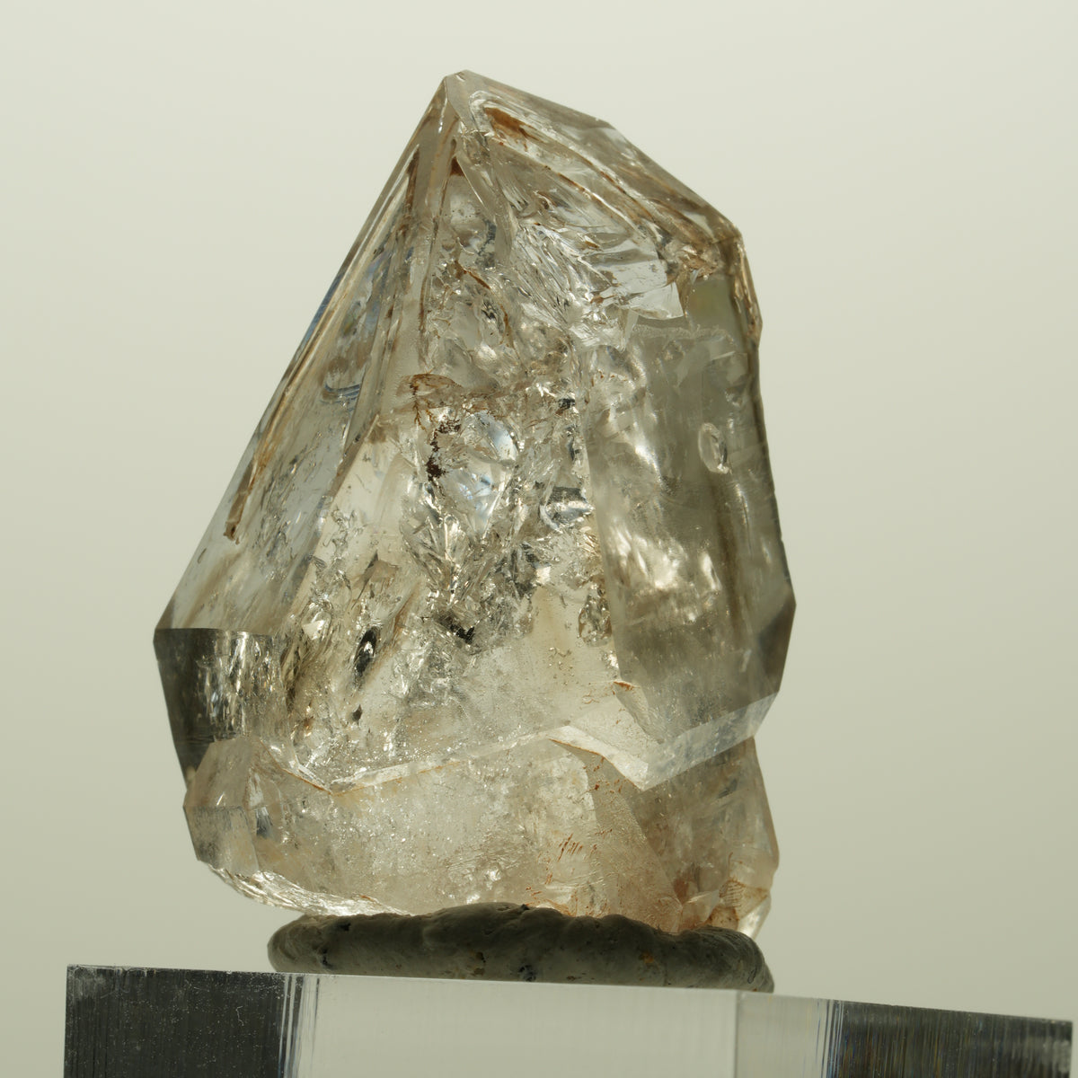 Skelett Fenster Phantom Rauchquarz Zepter Spitze Goboboseb, Namibia 36*24*19mm #14990