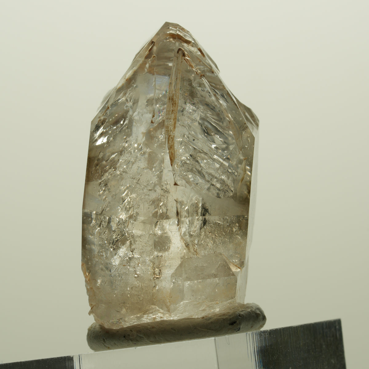 Skelett Fenster Phantom Rauchquarz Zepter Spitze Goboboseb, Namibia 36*24*19mm #14990