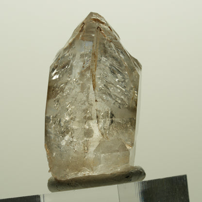 Skelett Fenster Phantom Rauchquarz Zepter Spitze Goboboseb, Namibia 36*24*19mm #14990