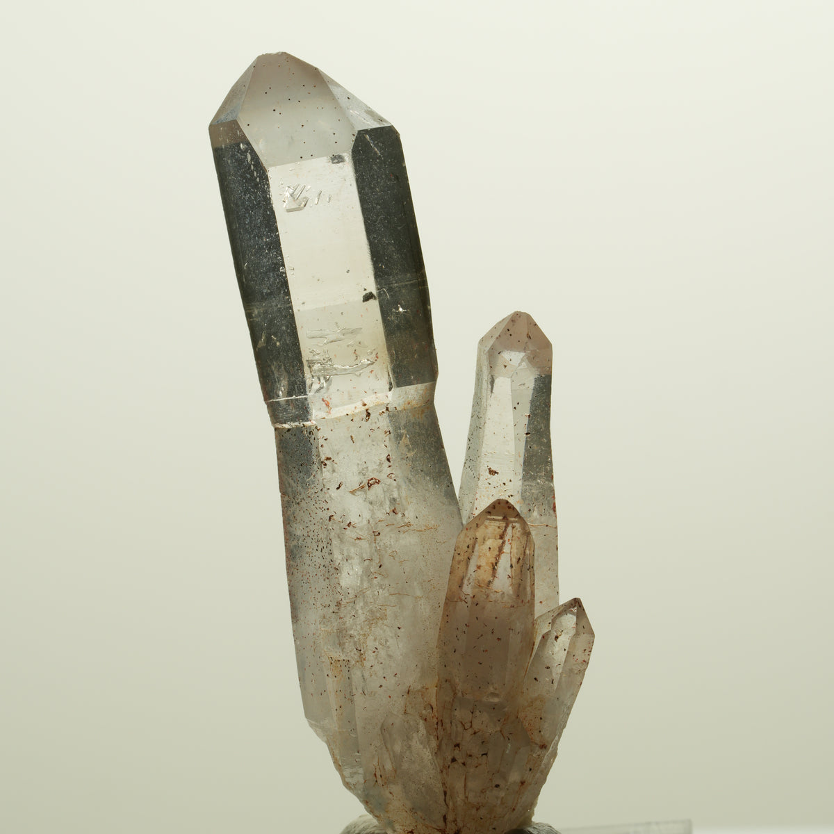 Skelett Phantom Rauchquarz Zepter mit Eisen Gruppe Goboboseb, Namibia 55*20*14mm #14991