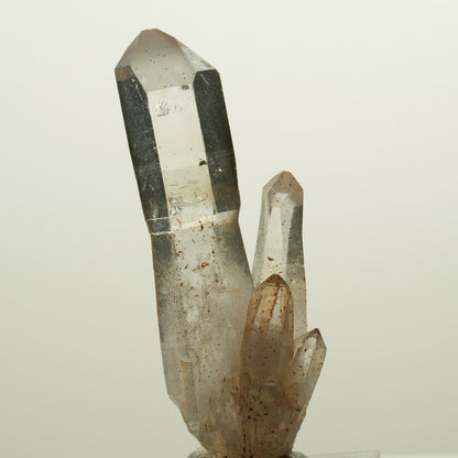 Skelett Phantom Rauchquarz Zepter mit Eisen Gruppe Goboboseb, Namibia 55*20*14mm #14991