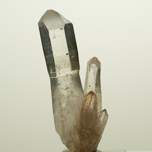 Skelett Phantom Rauchquarz Zepter mit Eisen Gruppe Goboboseb, Namibia 55*20*14mm #14991