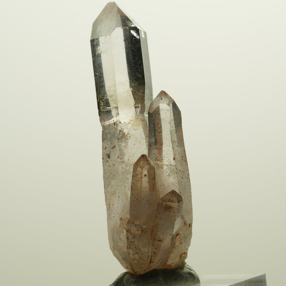 Skelett Phantom Rauchquarz Zepter mit Eisen Gruppe Goboboseb, Namibia 55*20*14mm #14991