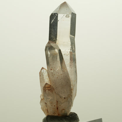 Skelett Phantom Rauchquarz Zepter mit Eisen Gruppe Goboboseb, Namibia 55*20*14mm #14991