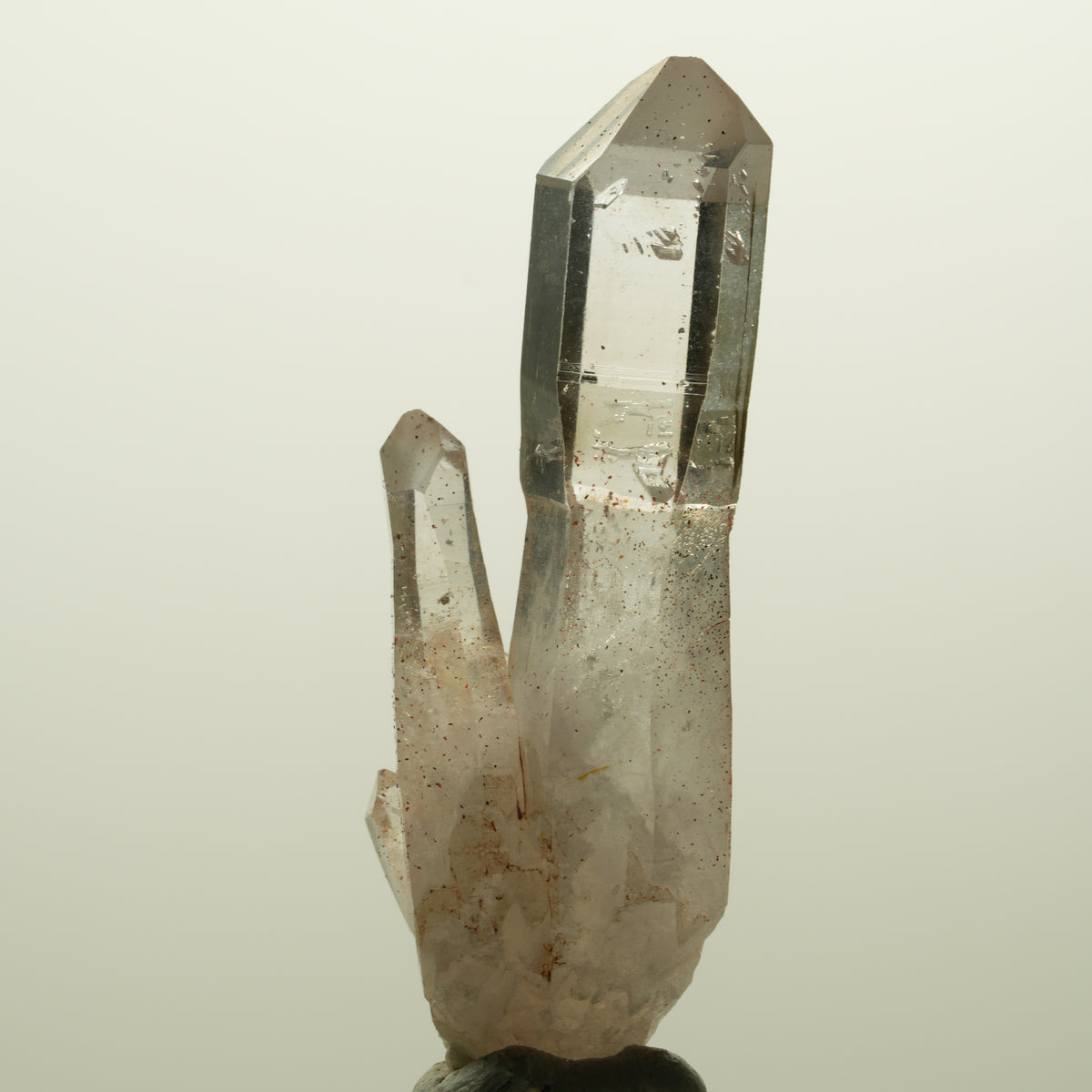 Skelett Phantom Rauchquarz Zepter mit Eisen Gruppe Goboboseb, Namibia 55*20*14mm #14991