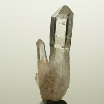 Skelett Phantom Rauchquarz Zepter mit Eisen Gruppe Goboboseb, Namibia 55*20*14mm #14991