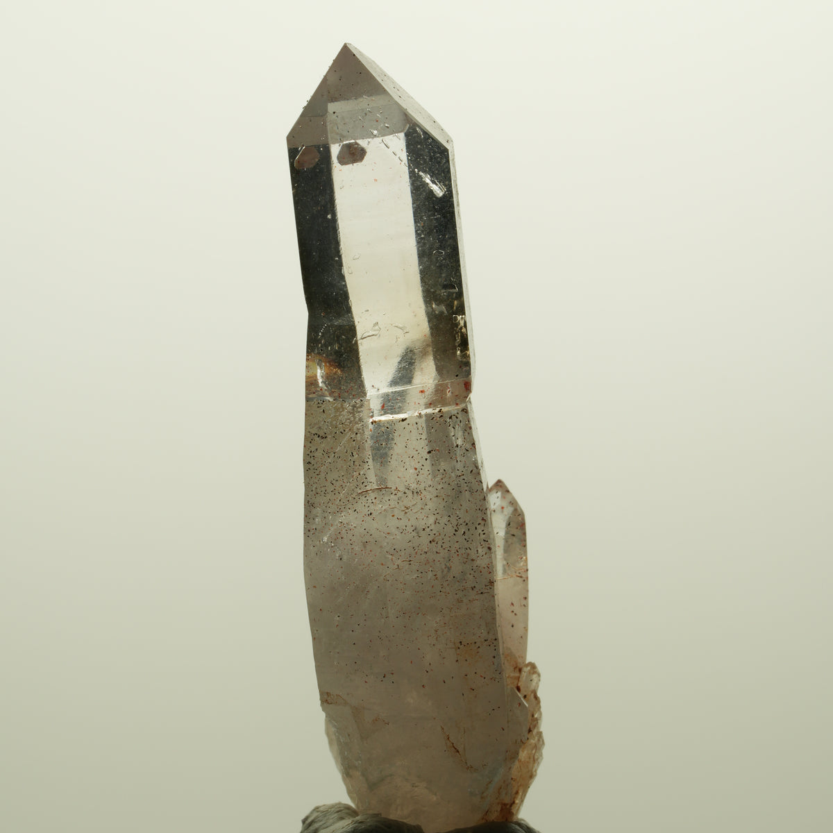 Skelett Phantom Rauchquarz Zepter mit Eisen Gruppe Goboboseb, Namibia 55*20*14mm #14991
