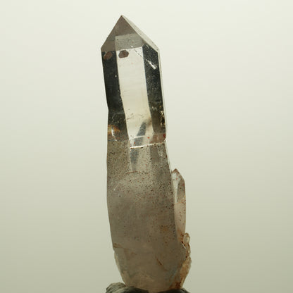 Skelett Phantom Rauchquarz Zepter mit Eisen Gruppe Goboboseb, Namibia 55*20*14mm #14991