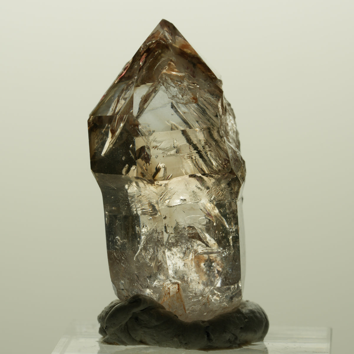 Enhydro Skelett Fenster Phantom Rauchquarz Zepter, 1x Blase Goboboseb, Namibia 36*23*18mm #14996