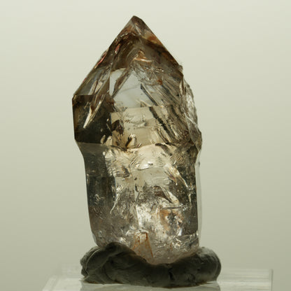 Enhydro Skelett Fenster Phantom Rauchquarz Zepter, 1x Blase Goboboseb, Namibia 36*23*18mm #14996