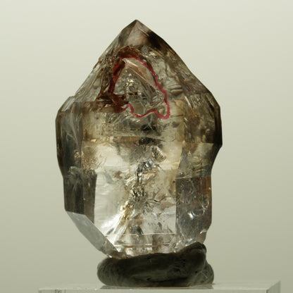 Enhydro Skelett Fenster Phantom Rauchquarz Zepter, 1x Blase Goboboseb, Namibia 36*23*18mm #14996