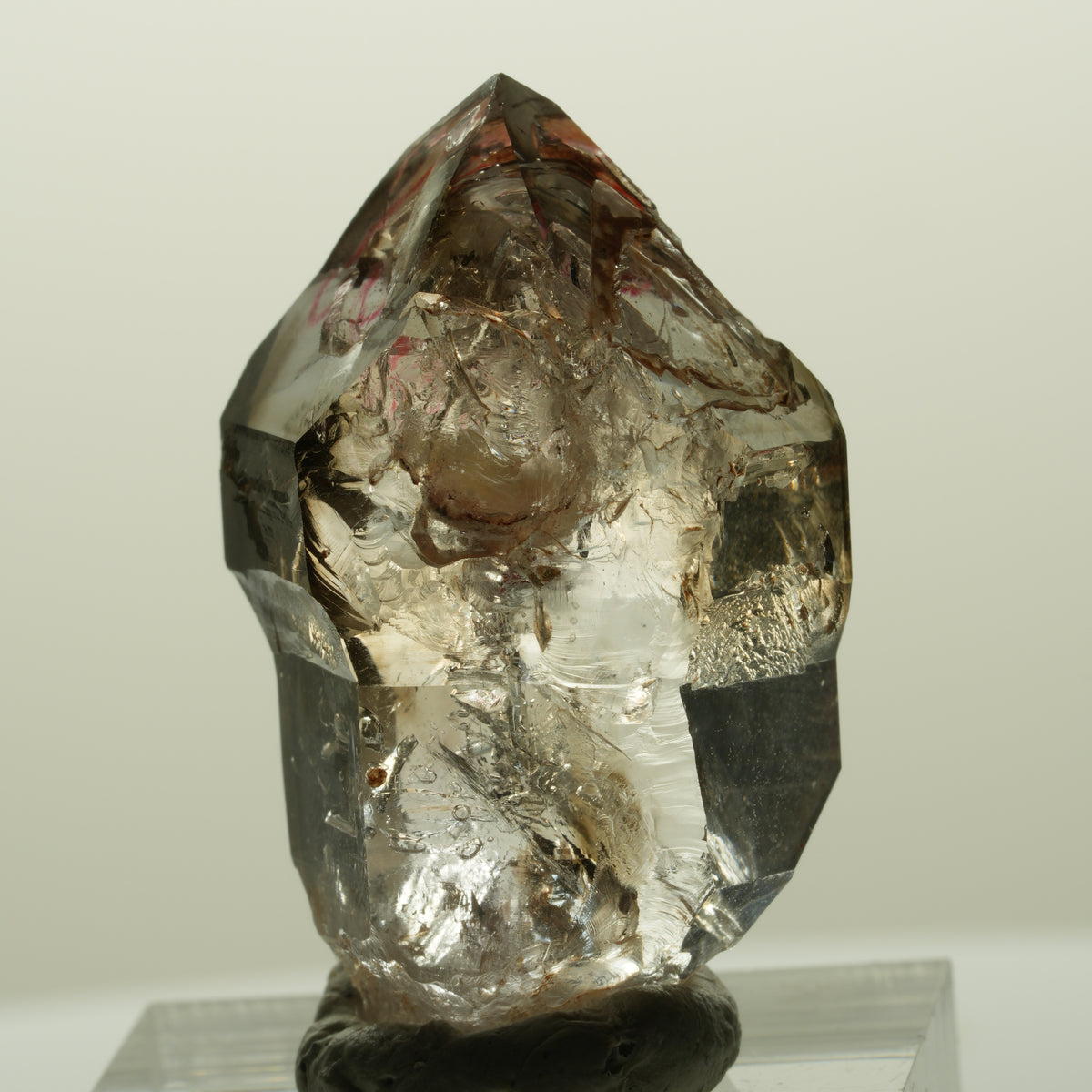 Enhydro Skelett Fenster Phantom Rauchquarz Zepter, 1x Blase Goboboseb, Namibia 36*23*18mm #14996
