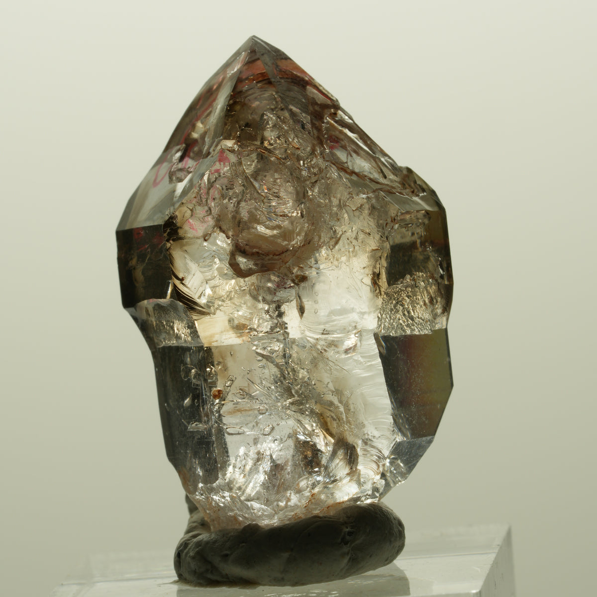 Enhydro Skelett Fenster Phantom Rauchquarz Zepter, 1x Blase Goboboseb, Namibia 36*23*18mm #14996