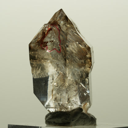 Enhydro Skelett Fenster Phantom Rauchquarz Zepter, 1x Blase Goboboseb, Namibia 36*23*18mm #14996