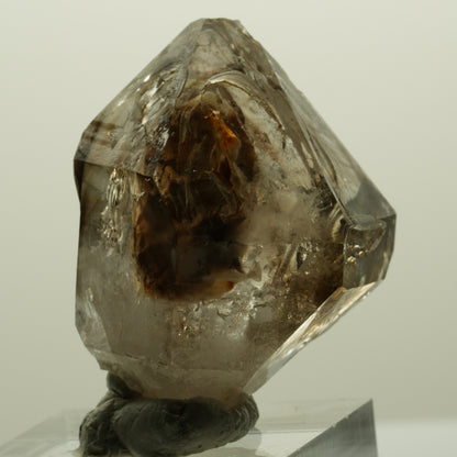 Skelett Fenster Phantom Rauchquarz Zepter Spitze Goboboseb, Namibia 36*29*20mm #14997