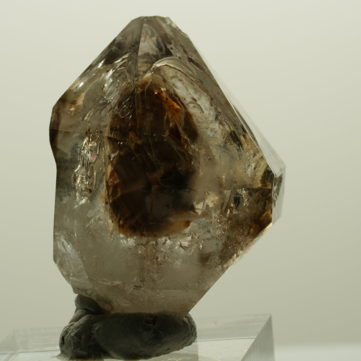 Skelett Fenster Phantom Rauchquarz Zepter Spitze Goboboseb, Namibia 36*29*20mm #14997