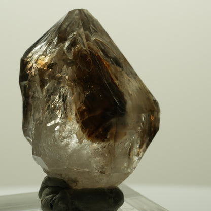 Skelett Fenster Phantom Rauchquarz Zepter Spitze Goboboseb, Namibia 36*29*20mm #14997