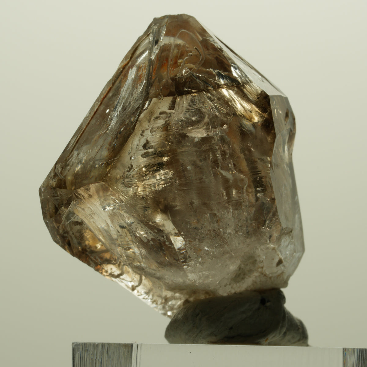Skelett Fenster Phantom Rauchquarz Zepter Spitze Goboboseb, Namibia 36*29*20mm #14997