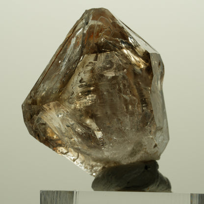 Skelett Fenster Phantom Rauchquarz Zepter Spitze Goboboseb, Namibia 36*29*20mm #14997