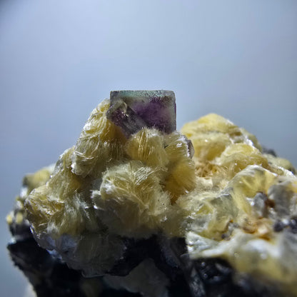 Cubes de fluorite fantôme colorés, spécimen de muscovite, Erongo, Namibie, 71 x 56 x 35 mm 