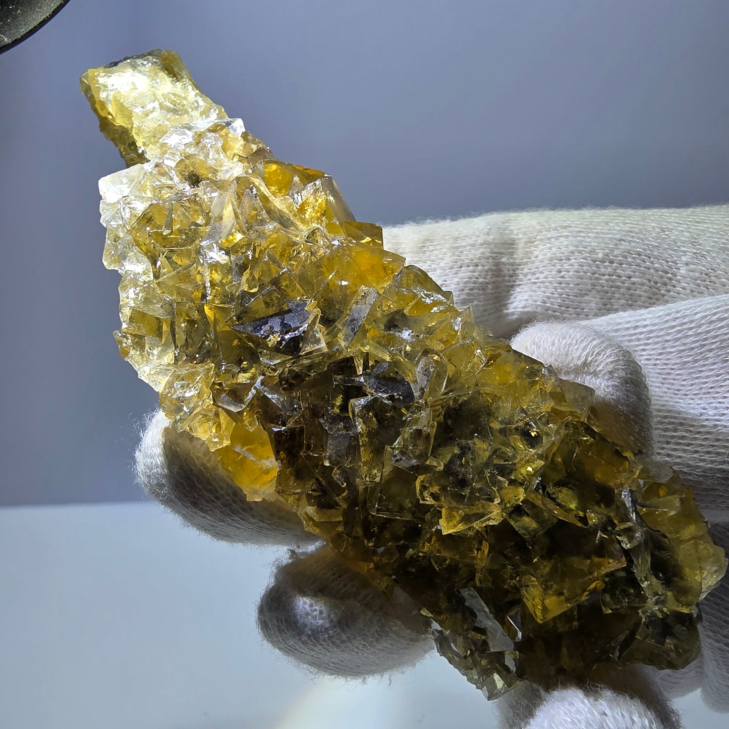 Grand spécimen de cube de fluorite fantôme, poche jaune miel, Okorusu, Namibie, 101 x 30 x 34 mm 