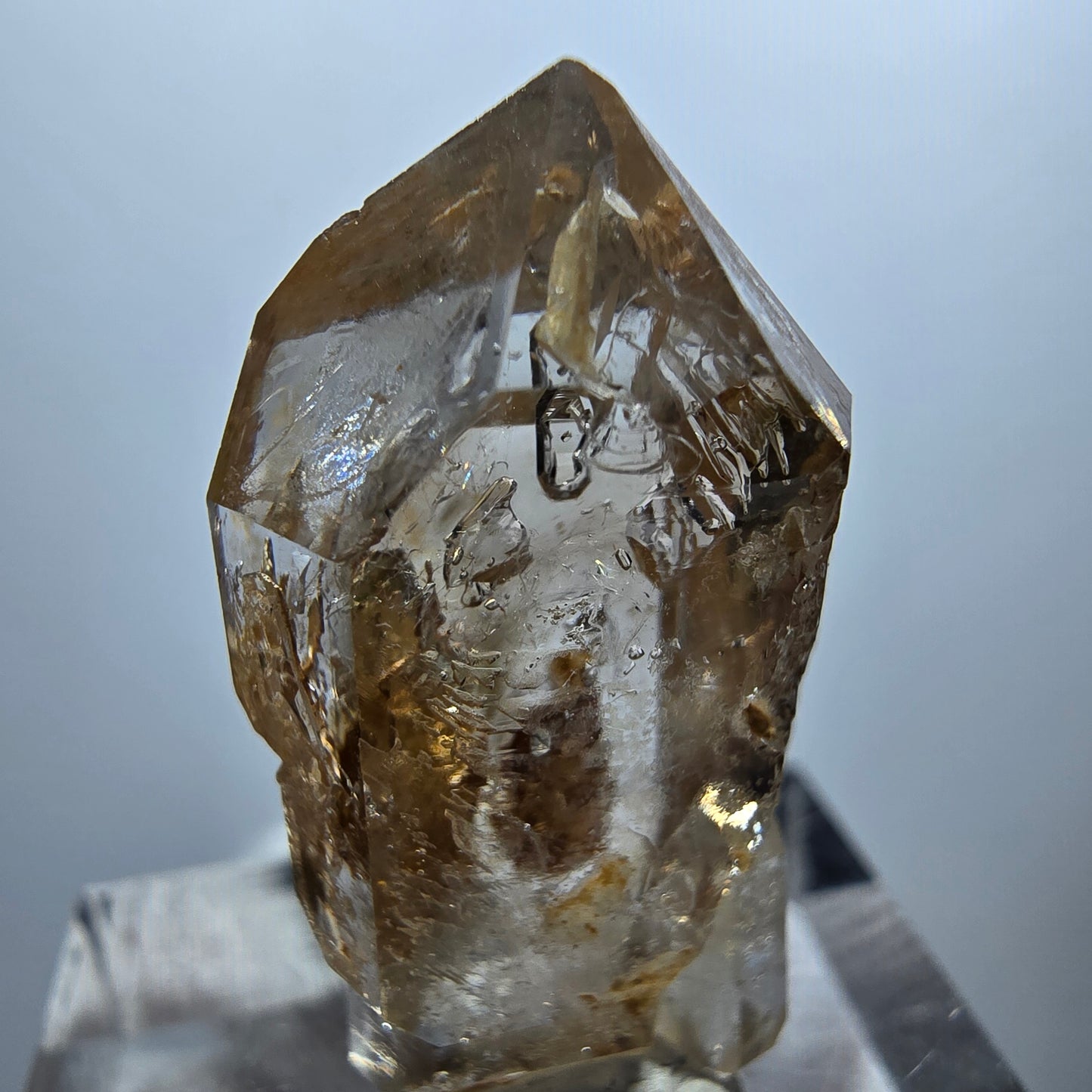 Sceptre Enhydro Phantom Smoky Quartz DT, 1x Bubble Goboboseb, Namibie 28*14*10mm 