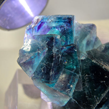 Spécimen de cube de fluorite fantôme, zonal – Nouvelle découverte ! Okorusu, Namibie, 36 x 27 x 16 mm 
