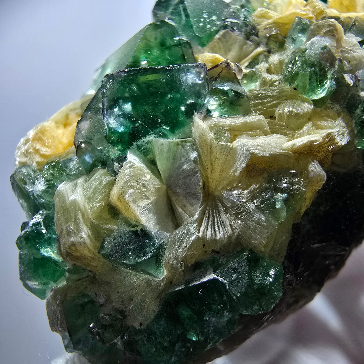 Rare Phantom Fluorite Cubes, Muscovite Specimen Erongo, Namibia 51*31*24mm 