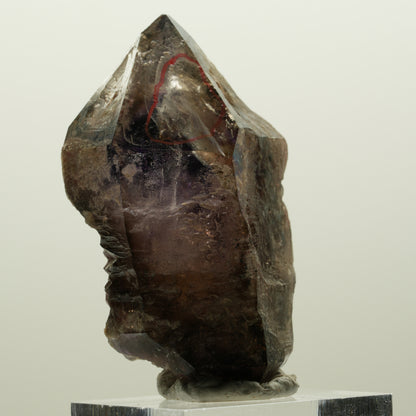Enhydro Skelett Phantom Amethyst, große Blase Brandberg, Namibia 50*35*23mm #15006