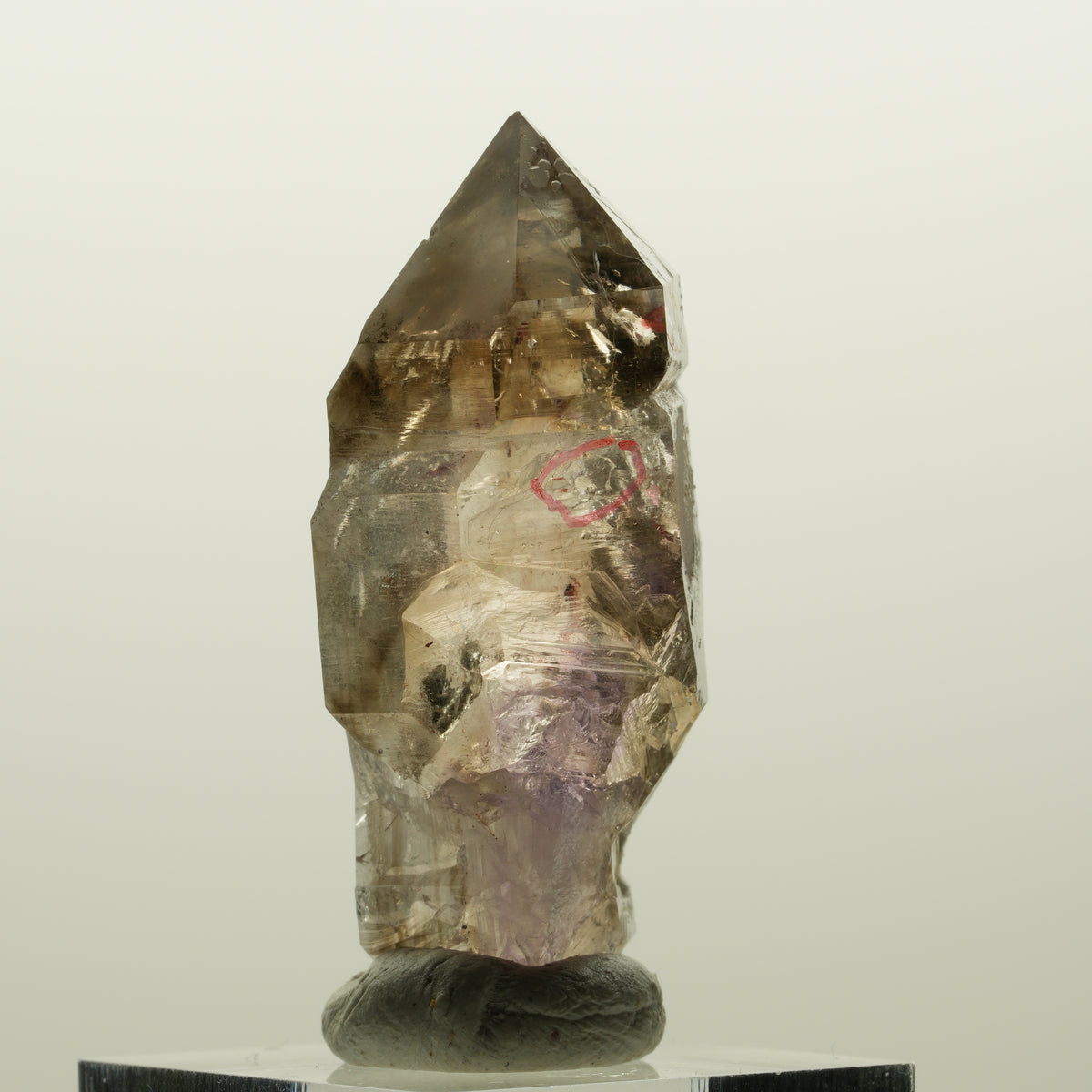 Enhydro Skelett Phantom Amethyst Doppelender Zepter, 3x Blase Goboboseb Namibia 47*21*17mm #15024