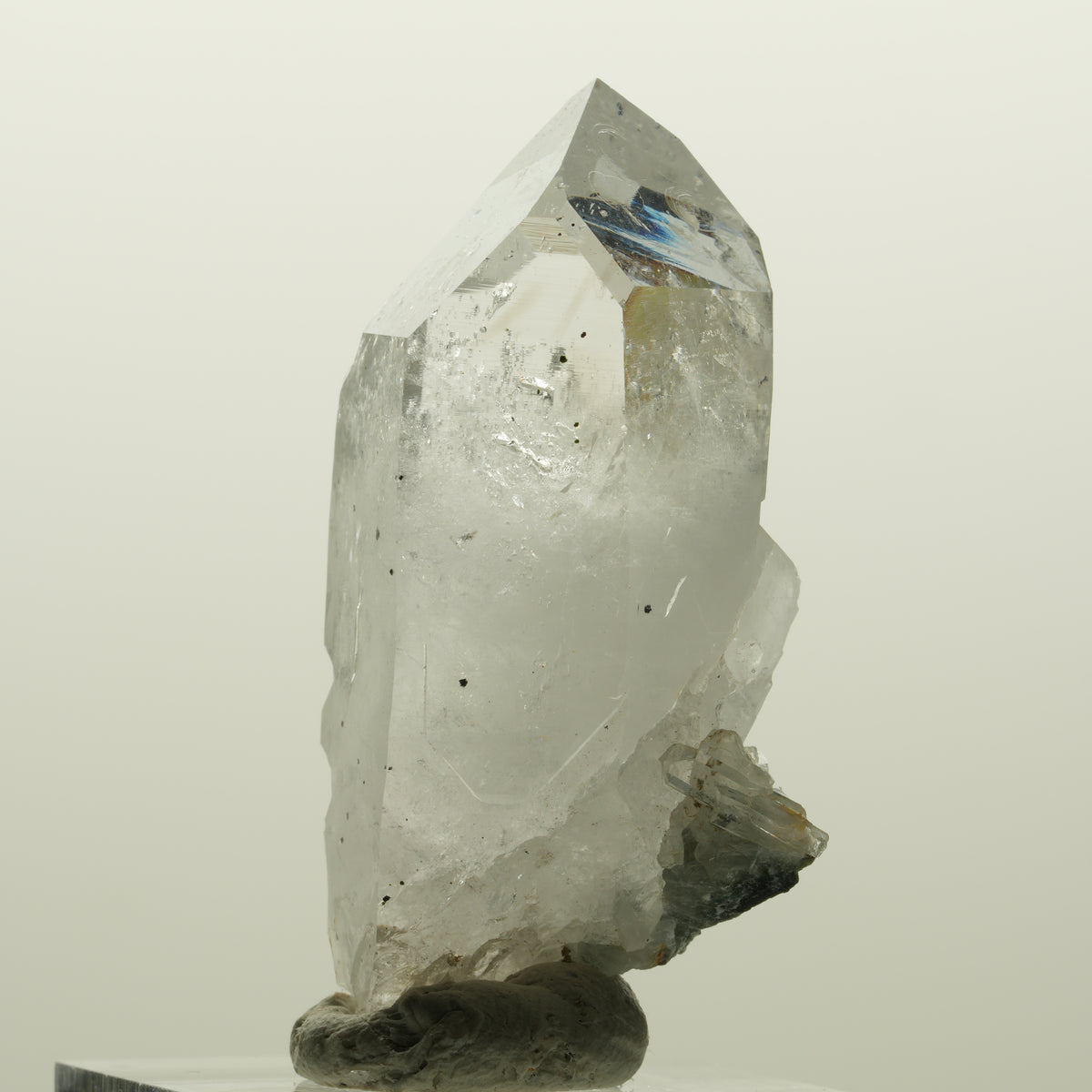 Harlekin Skelett Phantom Rauchquarz Spitze Goboboseb, Namibia 48*29*17mm #15028