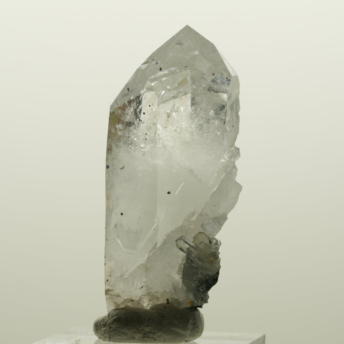 Harlekin Skelett Phantom Rauchquarz Spitze Goboboseb, Namibia 48*29*17mm #15028