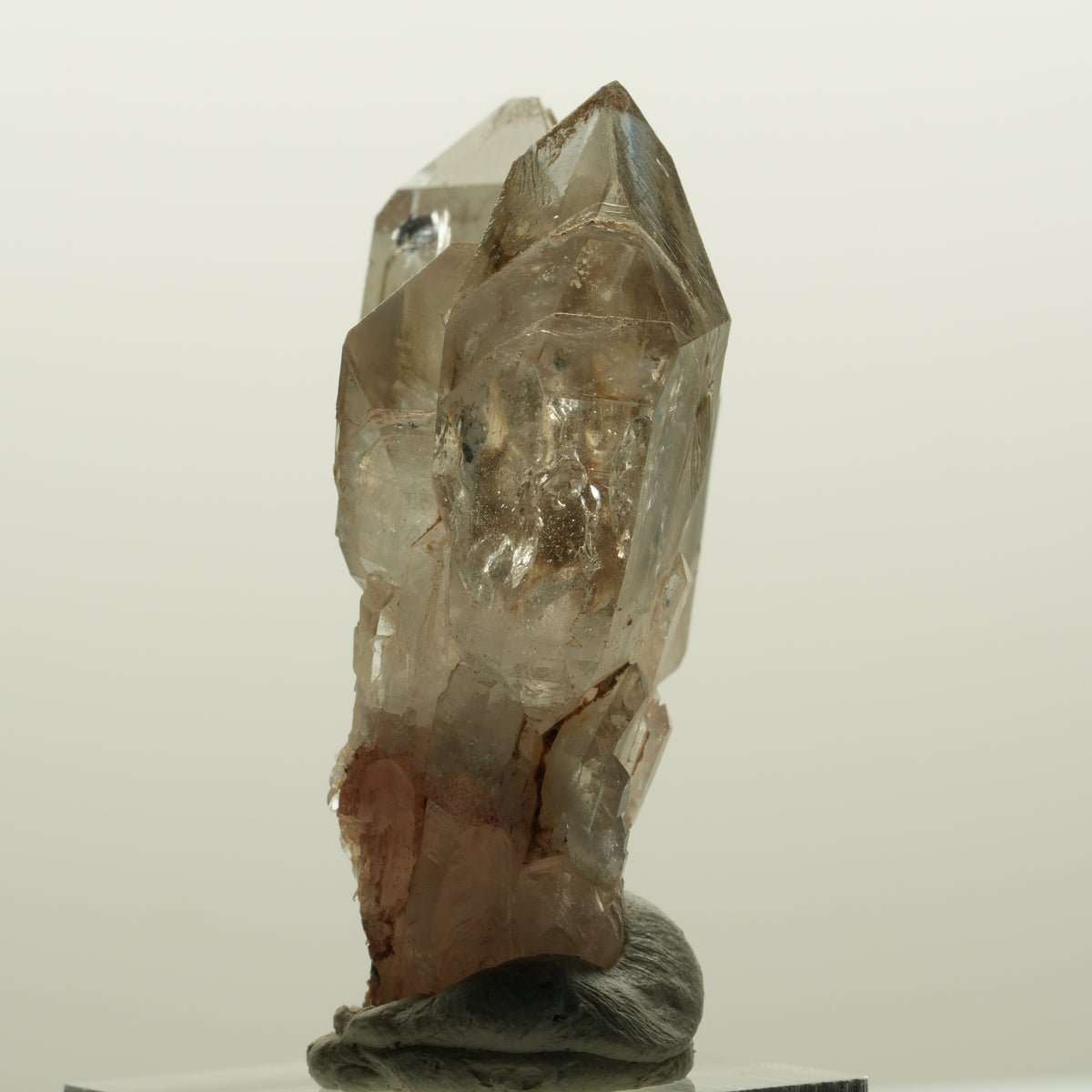 Enhydro Phantom Rauchquarz Skelett DT Zepter, 1x Blase Goboboseb, Namibia 48*37*22mm #15030