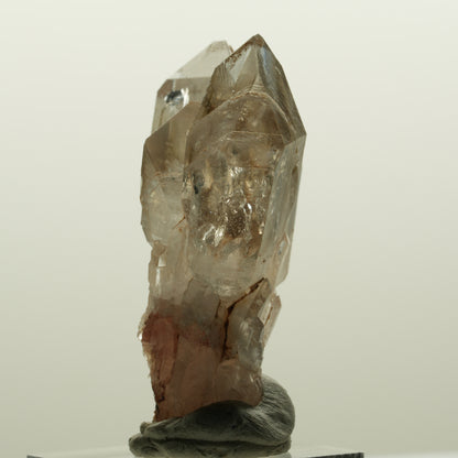 Enhydro Phantom Rauchquarz Skelett DT Zepter, 1x Blase Goboboseb, Namibia 48*37*22mm #15030
