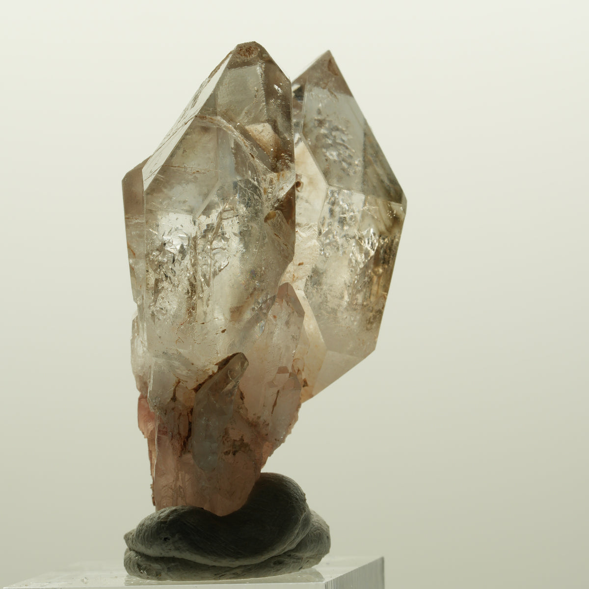 Enhydro Phantom Rauchquarz Skelett DT Zepter, 1x Blase Goboboseb, Namibia 48*37*22mm #15030