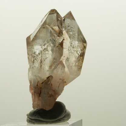 Enhydro Phantom Rauchquarz Skelett DT Zepter, 1x Blase Goboboseb, Namibia 48*37*22mm #15030