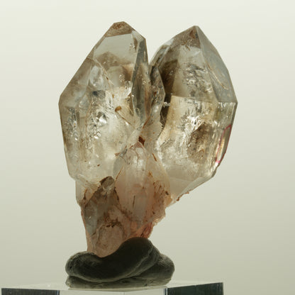 Enhydro Phantom Rauchquarz Skelett DT Zepter, 1x Blase Goboboseb, Namibia 48*37*22mm #15030