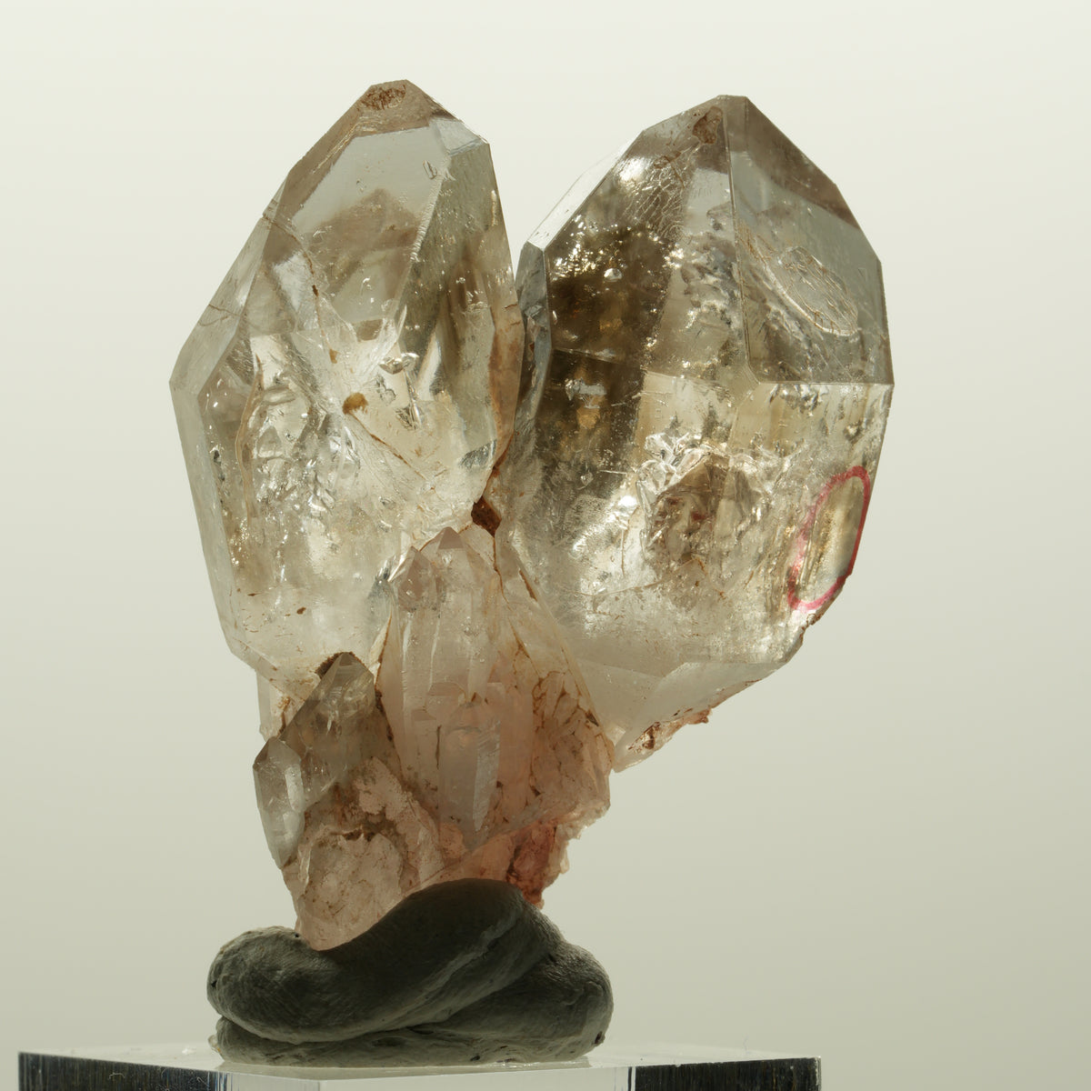 Enhydro Phantom Rauchquarz Skelett DT Zepter, 1x Blase Goboboseb, Namibia 48*37*22mm #15030