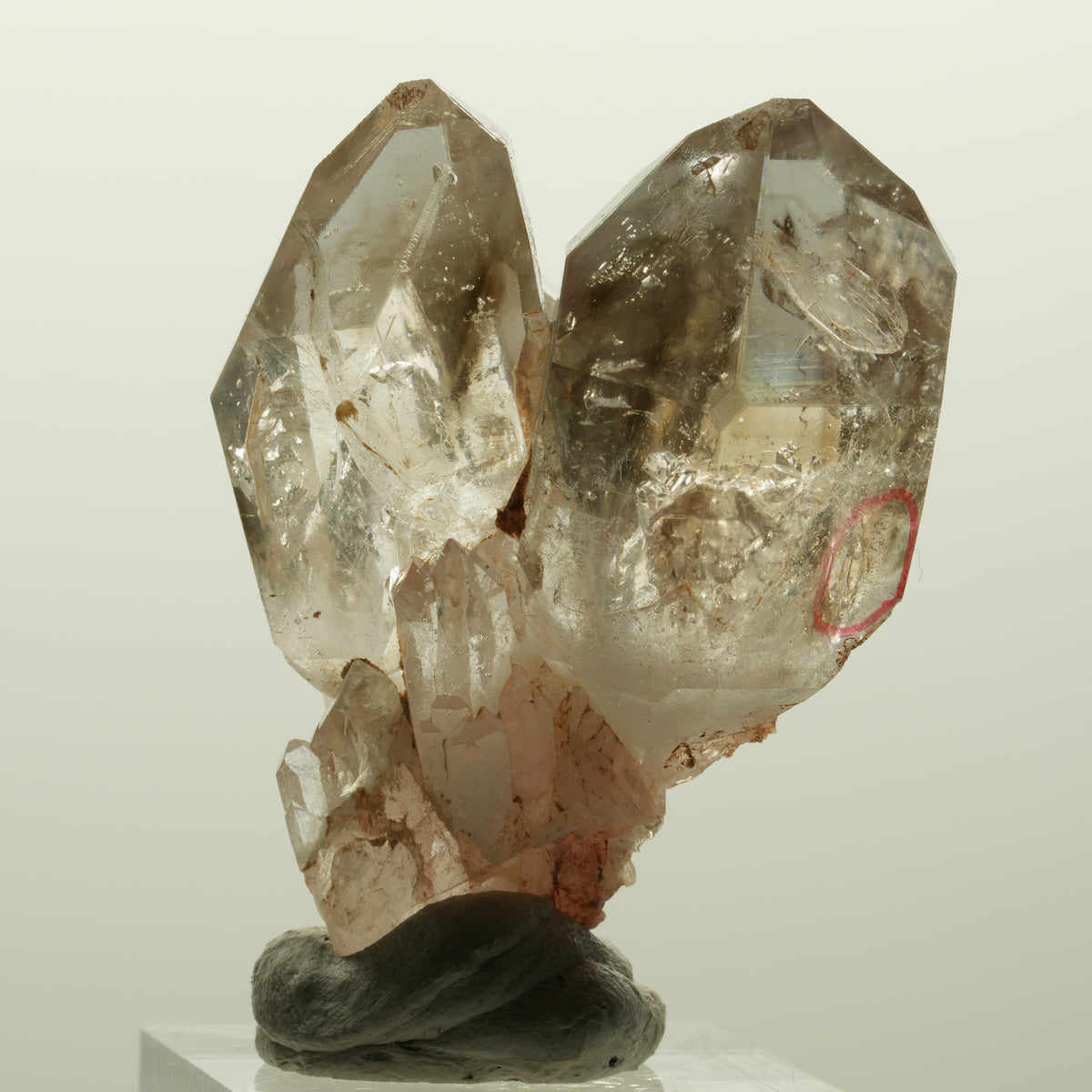 Enhydro Phantom Rauchquarz Skelett DT Zepter, 1x Blase Goboboseb, Namibia 48*37*22mm #15030